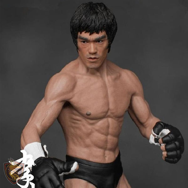 Action Figure Bruce Lee