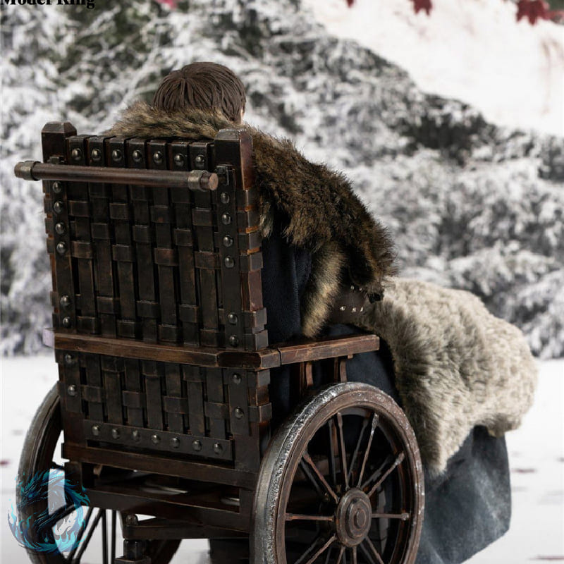 Action Figure Bran Stark