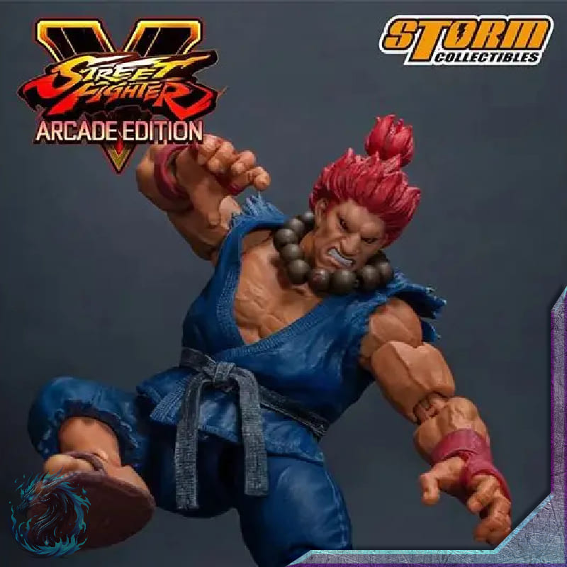 Action Figure Akuma