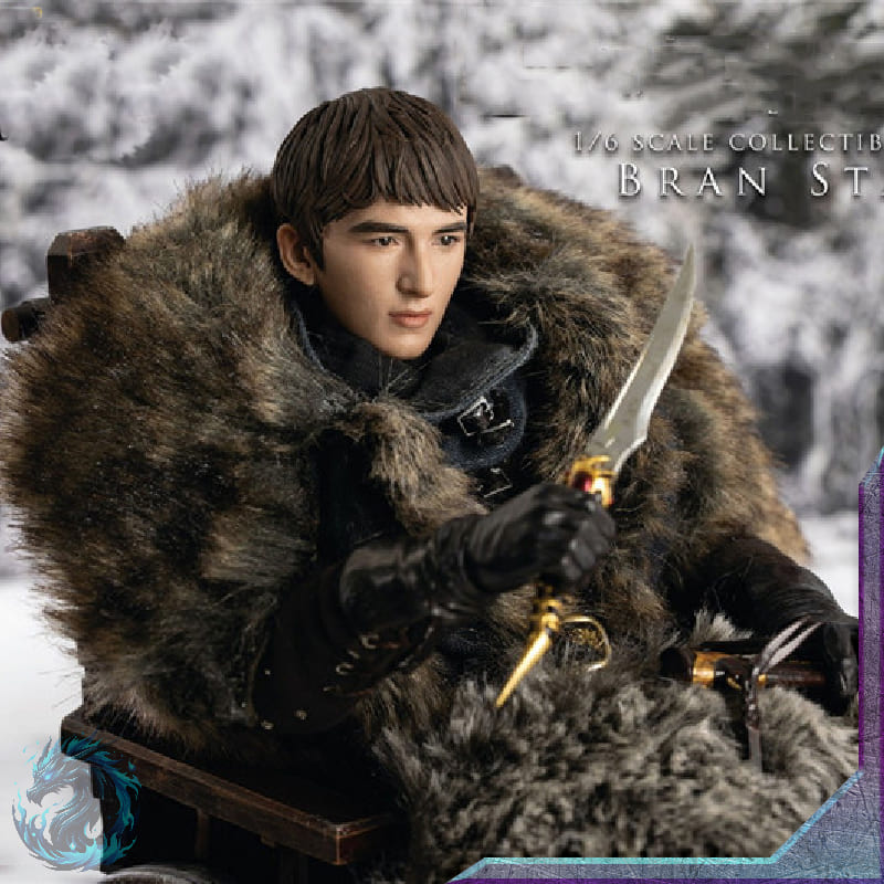 Action Figure Bran Stark