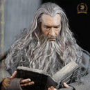Action Figure Gandalf o Cinzento