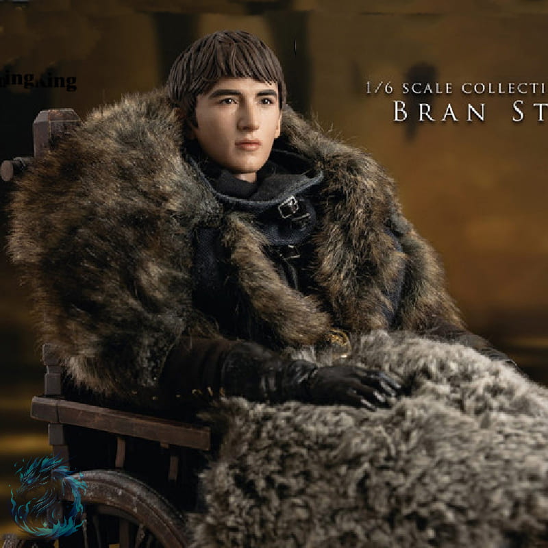 Action Figure Bran Stark