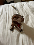 Super T-REX Dinossauro Articulado – Bee Toys