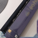 Varinhas Saga Harry Potter Wizarding World