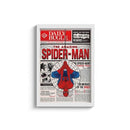 Quadro Spider Man Homem Aranha Amazin