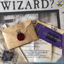 Kit Aceitação Hogwarts Harry Potter Luxo com Carta Personalizada
