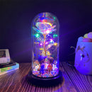 Rosa encantada do Clássico animado. Bela & A Fera.